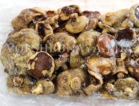 Паста с шампиньонами в сливочном соусе Макароны с грибами в сливочном сыре