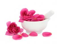 فوائد ومضار ثمر الورد لصحة الجسم أوراق ثمر الورد لها خصائص مفيدة